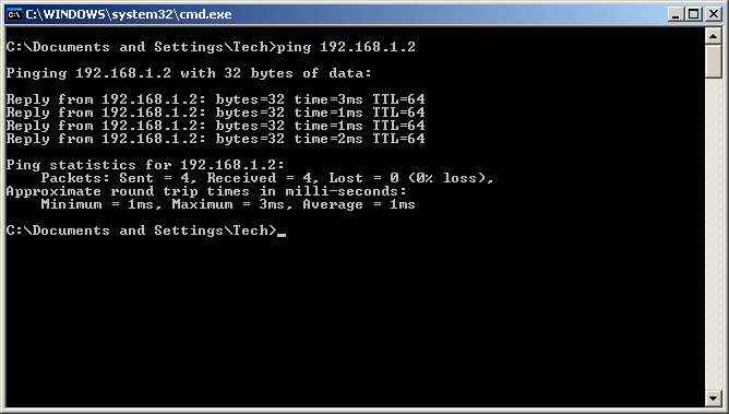 Successful Ping